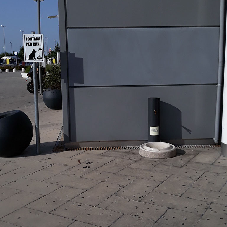 fontanella per cani fontanella per cani